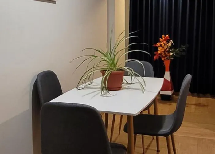 Departamento Acogedor Apartment